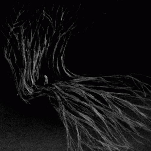 Verwoed : Woudloper (Demo)